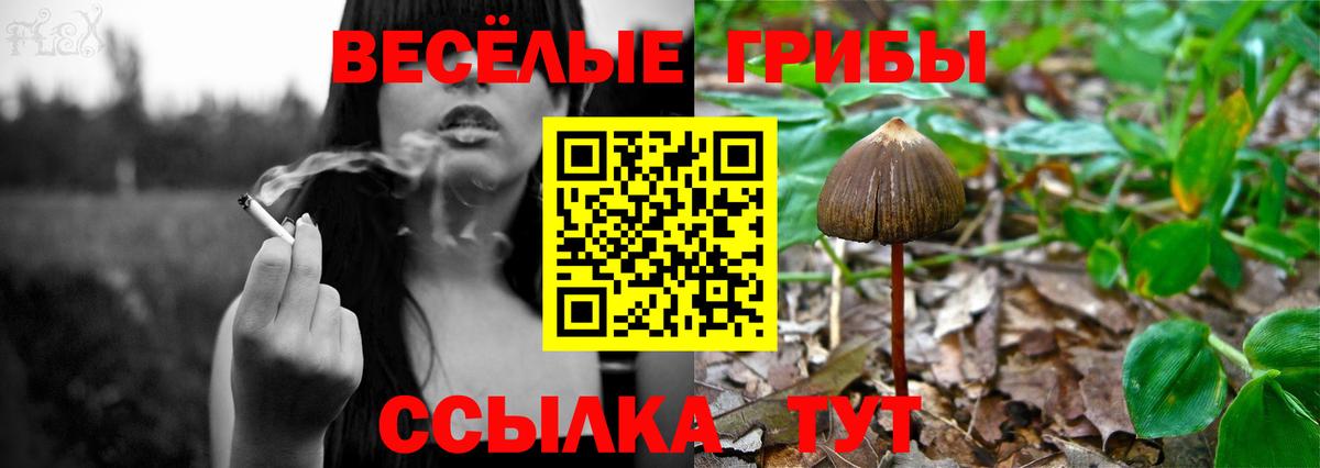 Галлюциногенные грибы мицелий  Вход с VPN  Дюртюли 